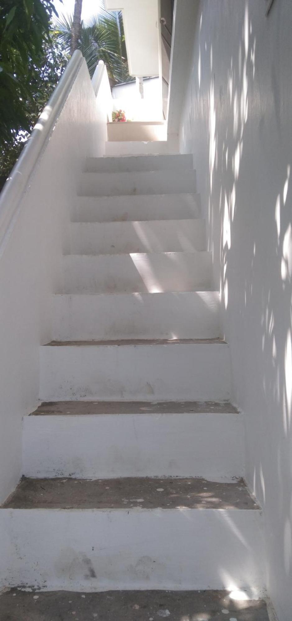 Jestine Homestay Kochi المظهر الخارجي الصورة