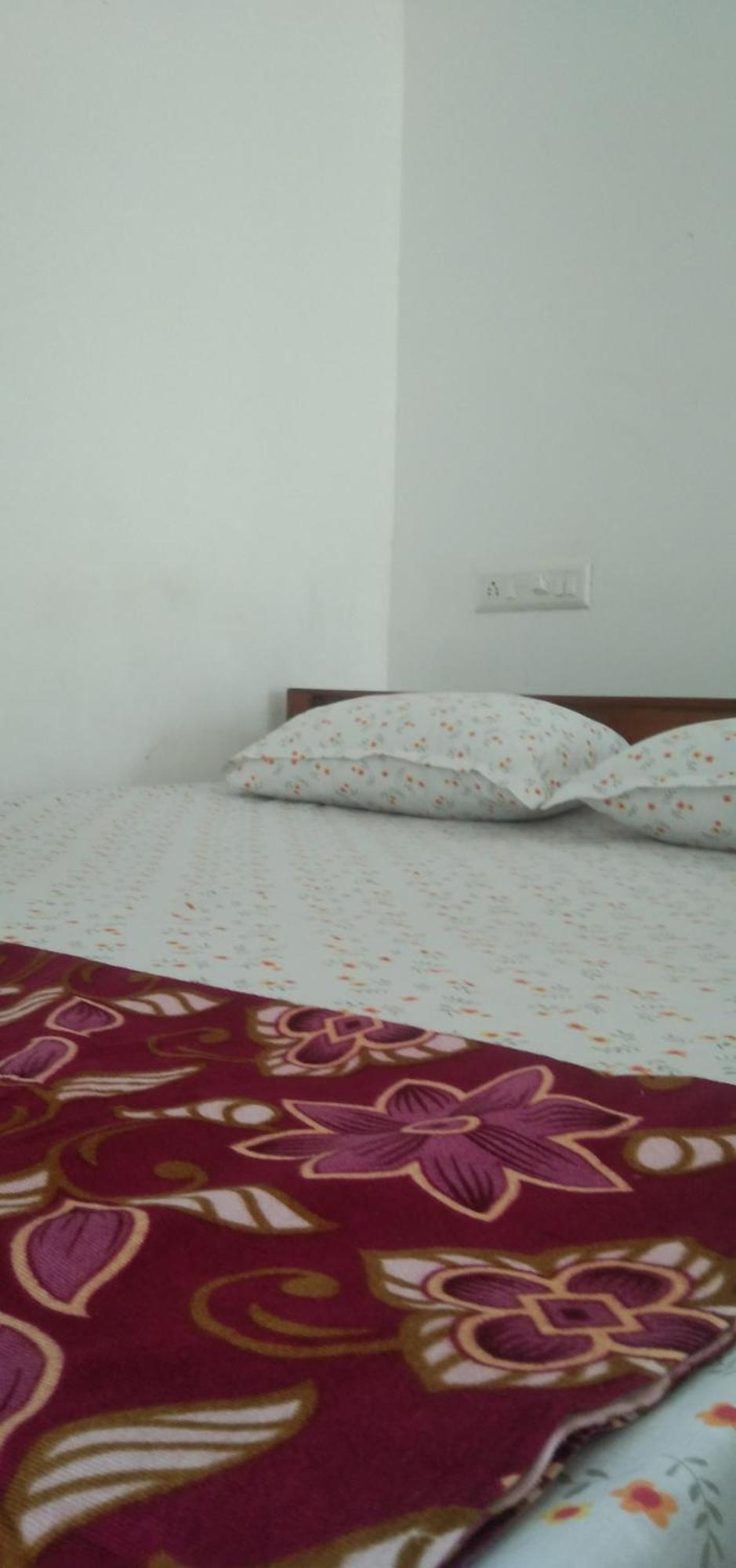 Jestine Homestay Kochi المظهر الخارجي الصورة